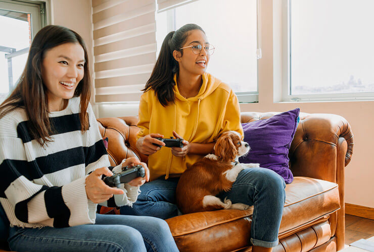 /wp-content/uploads/2024/07/two-women-and-dog-gaming-with-mesh-wifi-740x500-card.jpg